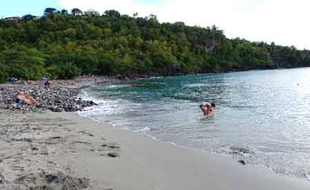 petite anse - bouillnate -guadeloupe basse terre