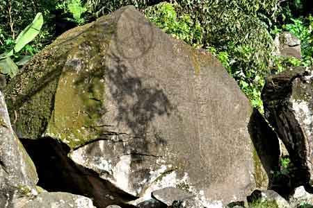 Roches gravées trois Rivières Guadeloupe