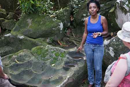 Roches gravées trois Rivières Guadeloupe