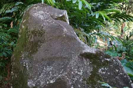 Roches gravées trois Rivières Guadeloupe