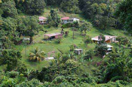 Ravine Touza Martinique