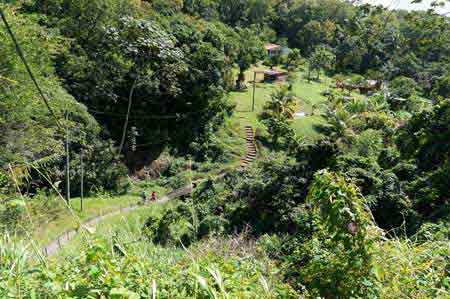 Ravine Touza Martinique