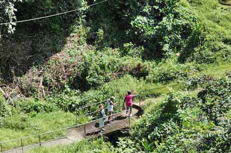 Ravine Touza Martinique