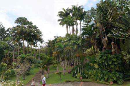 Le jardin exotique de Balata