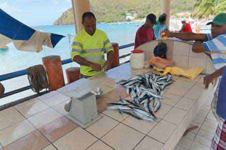 Grande Anse d'Arlets