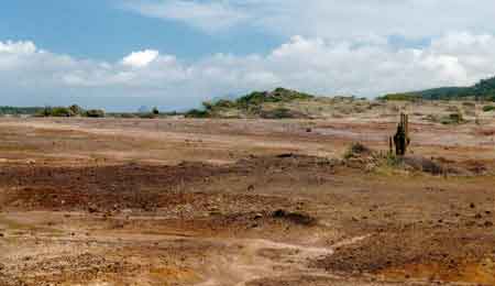 ste anne savane des pétrifications