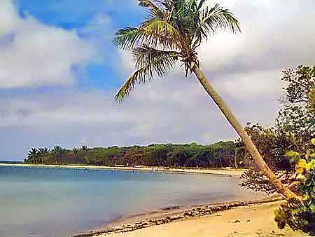 les salines