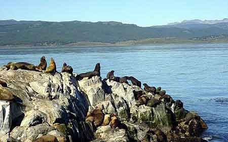 Argentine Ushuaia Patagonie phare canal de Beagle