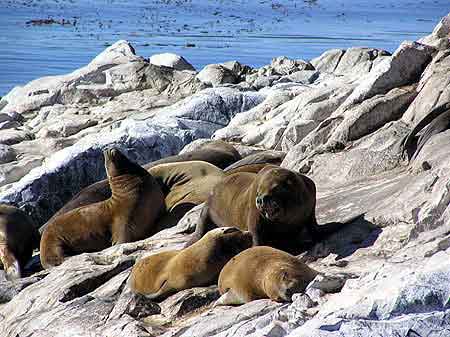 Argentine Ushuaia Patagonie phare canal de Beagle