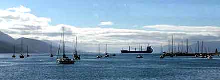 Argentine  canal de Beagle  Patagonie 