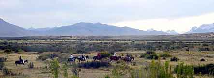 Argentine chevaux criollos gauchos   de  Patagonie 