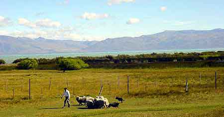 Argentine  estancia christine  de  Patagonie 