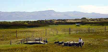 Argentine  estancia christine  de  Patagonie 