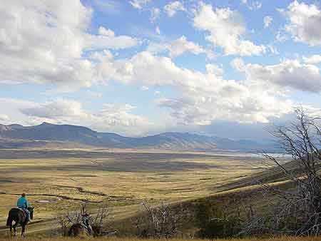 Argentine chevaux criollos gauchos   de  Patagonie 