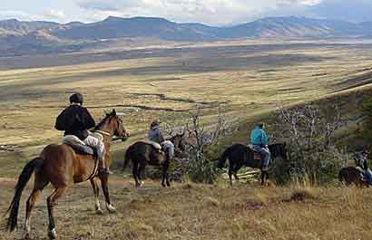 Argentine chevaux criollos gauchos   de  Patagonie 