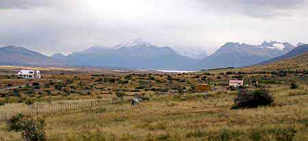 Argentine chevaux criollos gauchos   de  Patagonie 