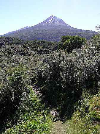 Argentine terre de feu  Patagonie 