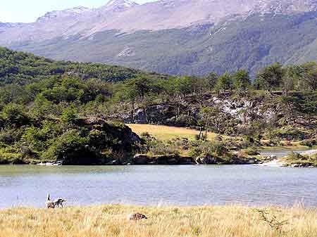 Argentine terre de feu  Patagonie 