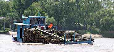 Argentine Tigre delta du Parana