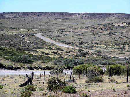 Argentine peninsule de Valdes Punta Tombo