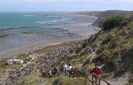 Argentine Peninsule de Valdes Punta Delgada