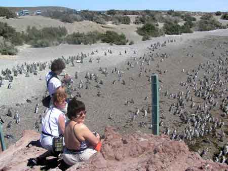 Argentine peninsule de Valdes Punta Tombo