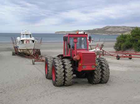 Argentine peninsule de Valdes puerto Piramides