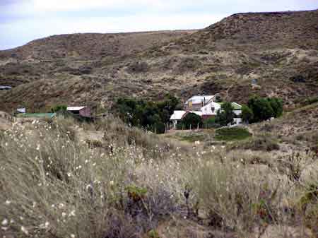 Argentine peninsule de Valdes puerto Piramides