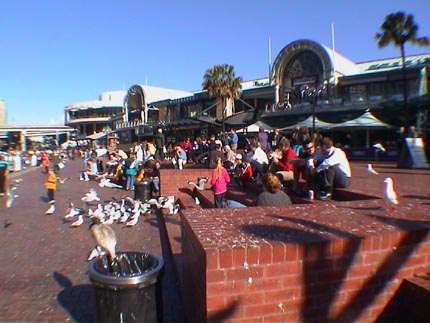 Australie Sydney Darling Harbour  