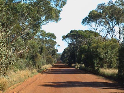 Australie kangaroo island   