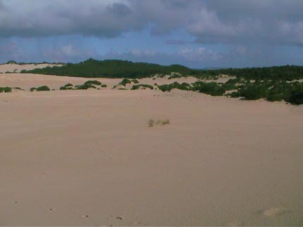 Australie kangaroo island  little sahara 