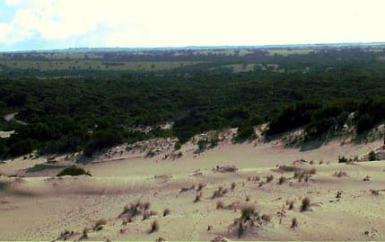 Australie kangaroo island  little sahara 