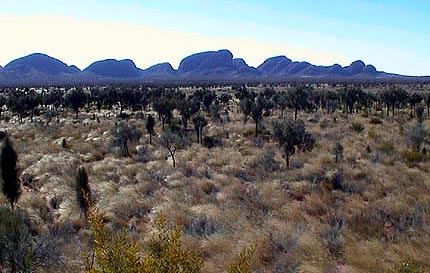 Australie monts Olgas 