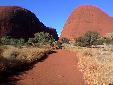 Australie monts Olgas 