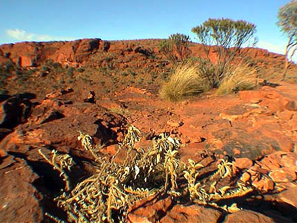 Australie Kings canyon Centre rouge  