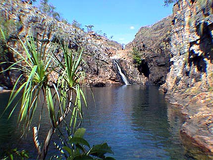 Australie Kakadu national park  Maguk  crocodiles