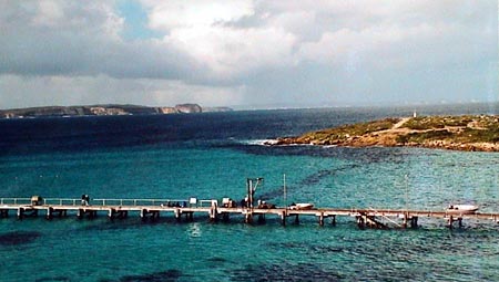 Australie kangaroo island  Seal point