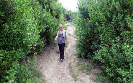 sentier du littoral pays basque