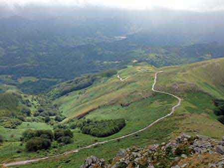 la Rhune, train, chevaux, pays basque  pyrénées