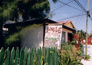 caye Caulker - Belize jungle rose