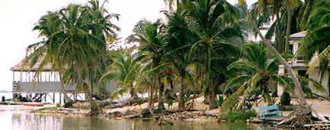 reefs end lodge tobacco caye Belize