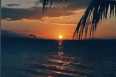 coucher de soleil  tobacco-caye belize