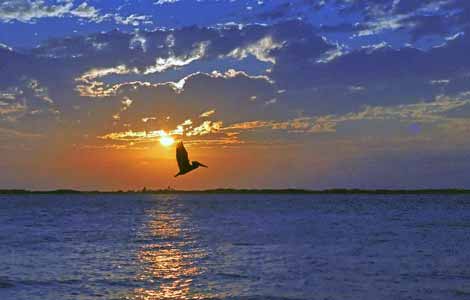 sunset in Belize - Tobacco Caye