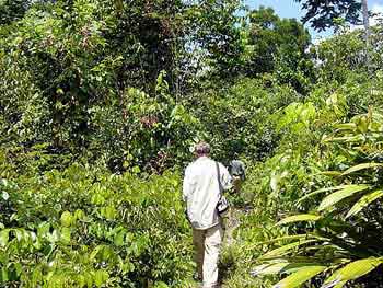 Brsil Amazonie village