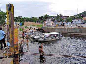 Brsil  Manaus Amazonie 