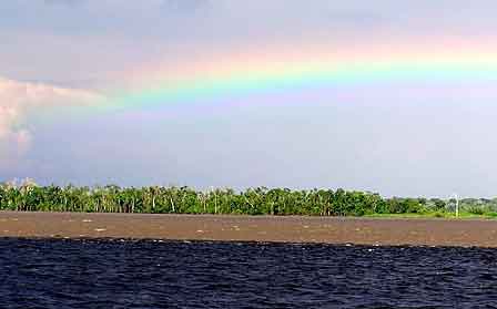 Brésil Amazonie rio negro solimoes