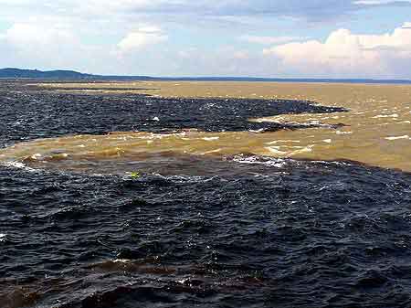 Brésil Amazonie Manaus