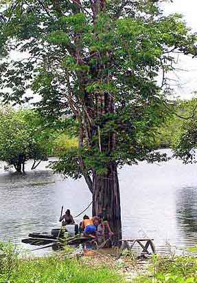 Brsil Amazonie village