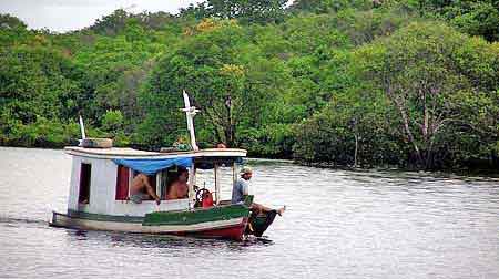 Brésil Amazonie  Manaus