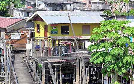 Brsil  Manaus Amazonie 